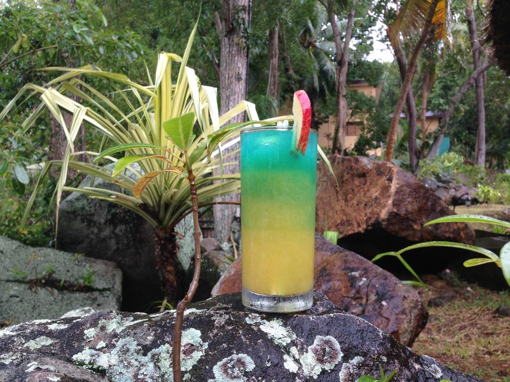 Cerf Island Resort Round Island Exterior foto
